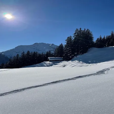 In Near Lift, Cleaning Included Mayrhofen